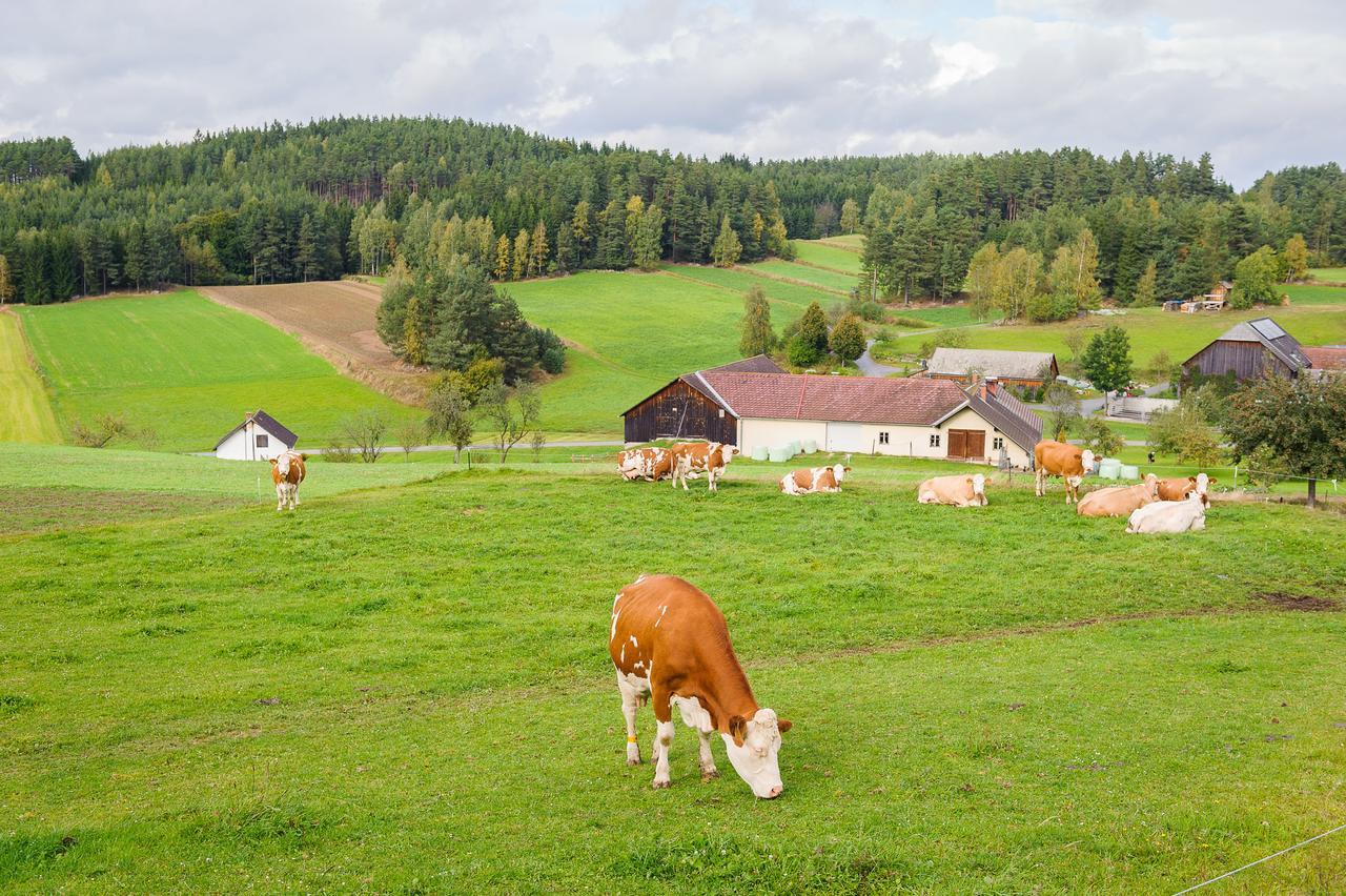 Gasthof Pension Seidl Arbesbach Exteriér fotografie